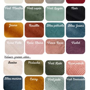 Puede incluir: Una carta de colores que muestra varias muestras de tela etiquetadas en franc&eacute;s, incluyendo pana de canal fino en tonos como beige, marr&oacute;n, gris, rojo, menta, verde bosque, azul verdoso, negro, amarillo, &oacute;xido, petr&oacute;leo, mezclilla, rosa y violeta, adem&aacute;s de canal ancho y piel sint&eacute;tica.