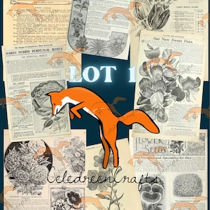 50 Pages ! Catalogues de Fleurs Vintage, de 1871 et après. Superbes illustrations ! En PDF.