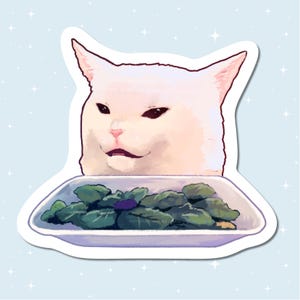 Handmade Glossy Vinyl Sticker - Woman yelling at cat meme - Waterproof - for water bottles, laptops, and more