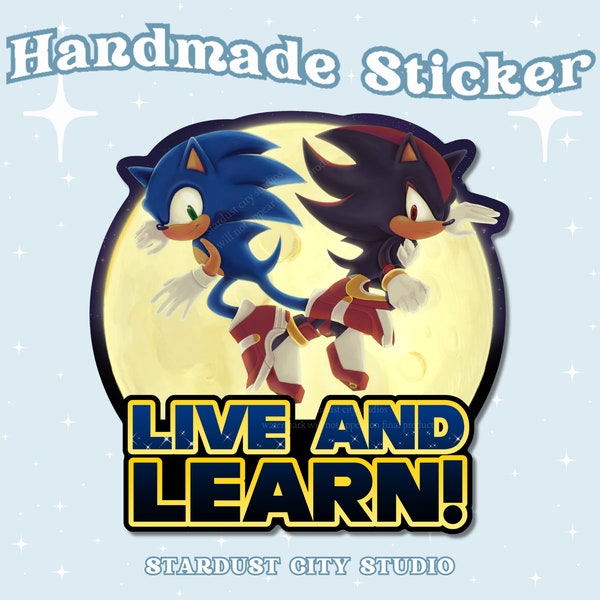 Glossy Die Cut Vinyl Sticker - Live and Learn - Video Game, Nostalgic Adventure Sticker