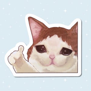 Handmade Glossy Vinyl Sticker - Thumbs up cat meme - Waterproof - for water bottles, laptops, and more