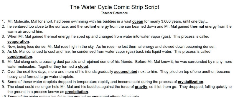 Water Cycle Comic - Review / Study Guide - Etsy