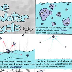 Water Cycle Comic - Review / Study Guide
