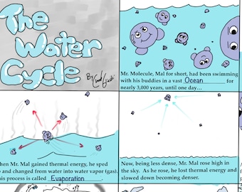 Water Cycle Comic - Review / Study Guide