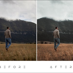 May include: A person in a brown jacket and blue jeans walks through a field of tall grass with a mountain in the background. The sky is cloudy and the mountain is covered in fog.