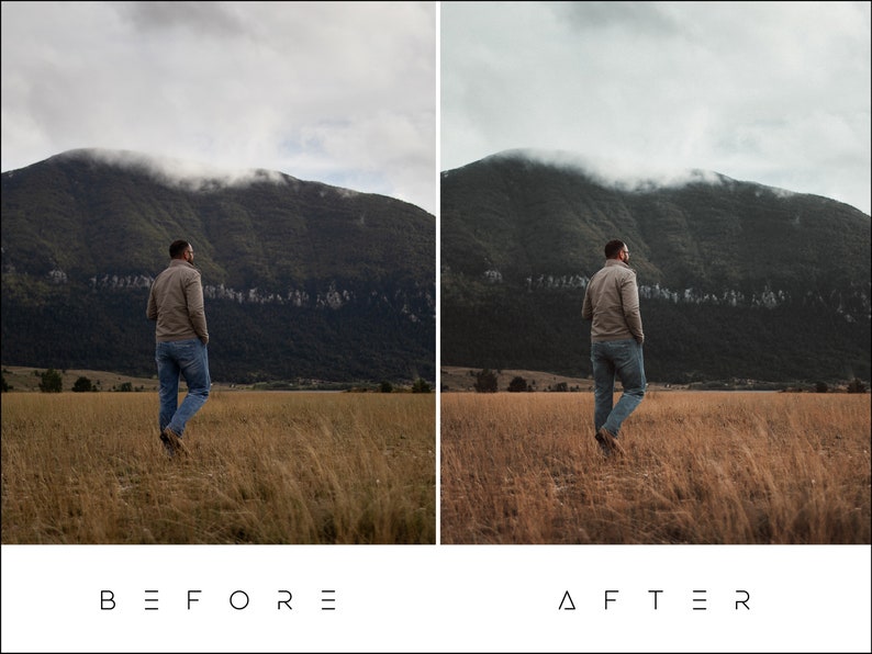 May include: A person in a brown jacket and blue jeans walks through a field of tall grass with a mountain in the background. The sky is cloudy and the mountain is covered in fog.