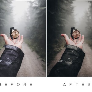 May include: A gold-toned wristwatch with a black band is held up in a foggy forest setting.