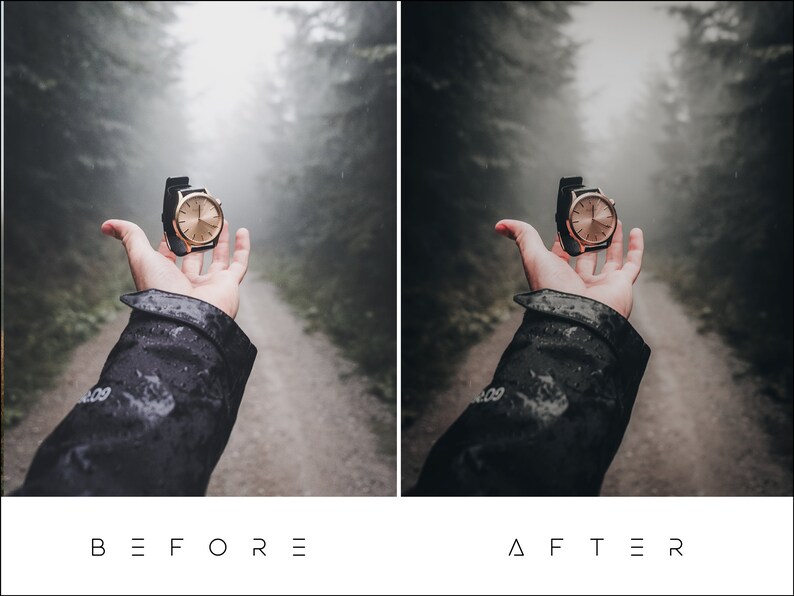 May include: A gold-toned wristwatch with a black band is held up in a foggy forest setting.