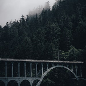Fog