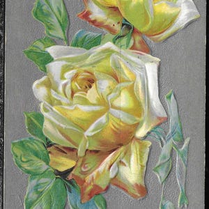 Cartão postal vintage por volta de 1909 com rosas em relevo