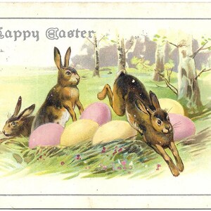 Cartolina d'epoca circa 1910 Un coniglietto pasquale felice Uova di Pasqua