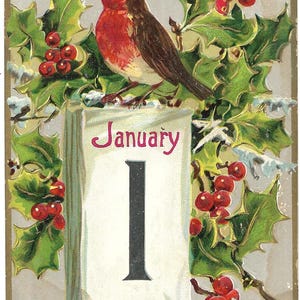 Carte postale vintage Raphael Tuck A Happy New Year Oiseau Fleurs