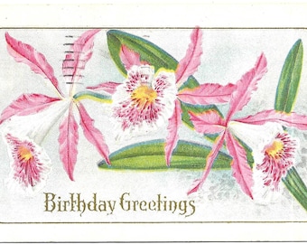 Vintage Postcard Circa 1910 Birthday Greetings Embossed Flowers