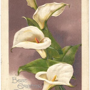 Cartolina d'epoca circa 1920 I migliori auguri di Pasqua Fiori bianchi in rilievo