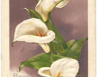 Vintage 1920 Easter Postcard: Embossed White Flowers