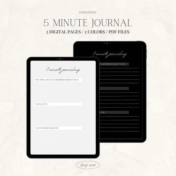 Digital 5 Minute Journal Printable Daily Journal Goodnotes | Etsy