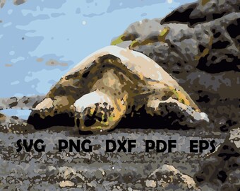 Sea Turtle Color By Numbers Sheet, Hawaiian Culture, KDP (Digital)