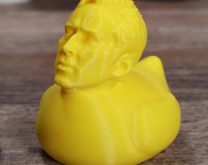 Nicolas Cage as a Duck (A Nuck) Fun Toy