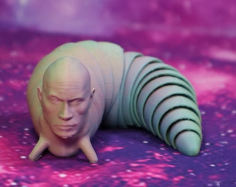 Dwayne Johnson as The Rock Slug Weird Funny Gift For Home Decor For Office Desk Pet Toy Movable Cool 3D Printed Toy
