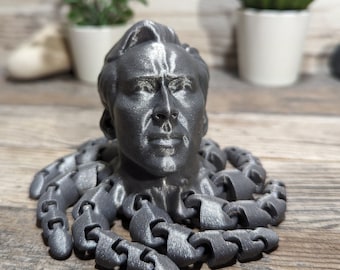 Nicolas Cage Octopus Fidget Toy Gift For Boy Birthday Home Decor Funny