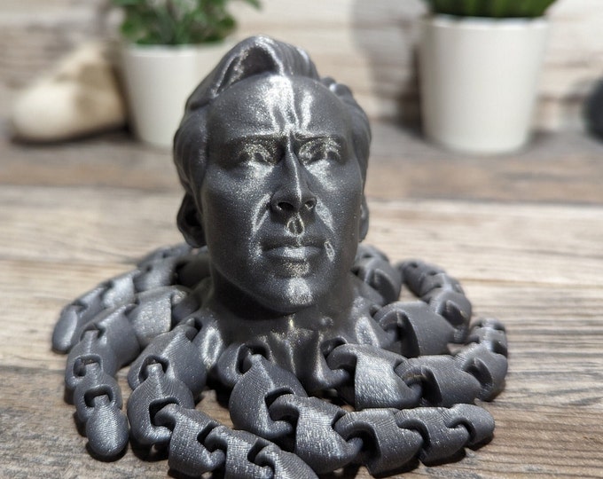 Nicolas Cage Octopus Fidget Toy Gift For Boy Birthday Home Decor Funny