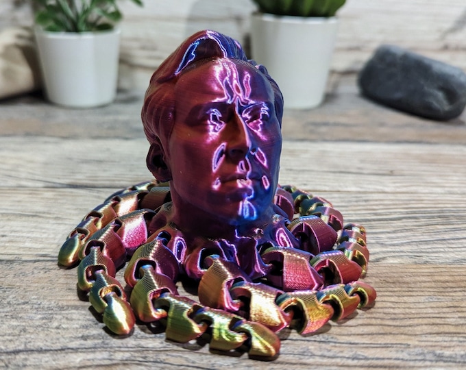 Nicolas Cage Octopus Fidget Toy Gift For Boy Birthday Home Decor Funny