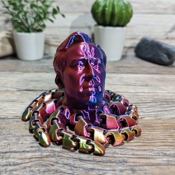 Nicolas Cage Octopus Fidget Toy