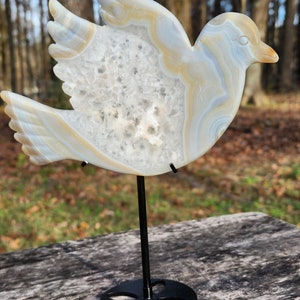 May include: A white and brown agate crystal carved into the shape of a dove, mounted on a black metal stand. The dove has a detailed, intricate design and is a beautiful example of natural art.