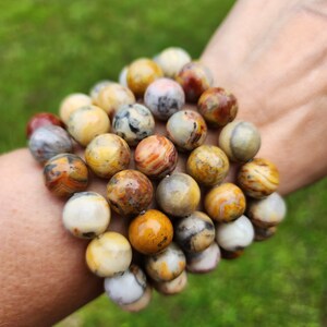Crazy Lace Agate Beaded Bracelet | 12mm Beads