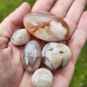 5 High Quality Tumbled Flower Agate Tumbled Stone Pieces | 1 Inch+ Each