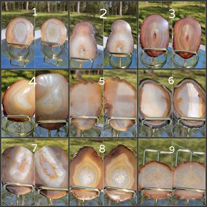 May include: Nine agate slices on gold metal stands. Each slice is a different color and pattern of brown, white, and gray. The agate slices are arranged in three rows of three.