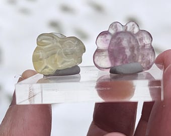 Fluorite Carvings Spring Set | Bunny and Bee with Display