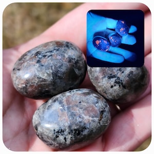 3 High Quality Tumbled Yooperlite Pieces | 1-1.5 Inches Each