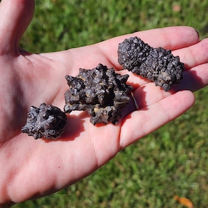 May include: Three dark gray, spiky, rock-like formations on a person's hand. The formations are different sizes and shapes.