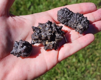 High Quality Egyptian Prophecy Stones | Pseudomorph After Marcasite and Pyrite | Limonite and Hematite