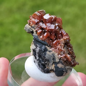 Vanadinite Specimen | Rare Crystal | Putty and Plate Included