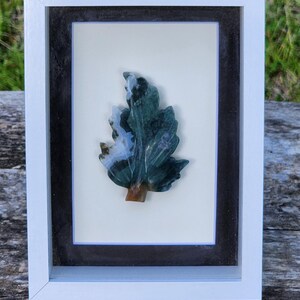 Moss Agate Leaf Framed in Shadowbox | 3 Inch Leaf | 5 inch by 7 Inch Shadowbox Frame