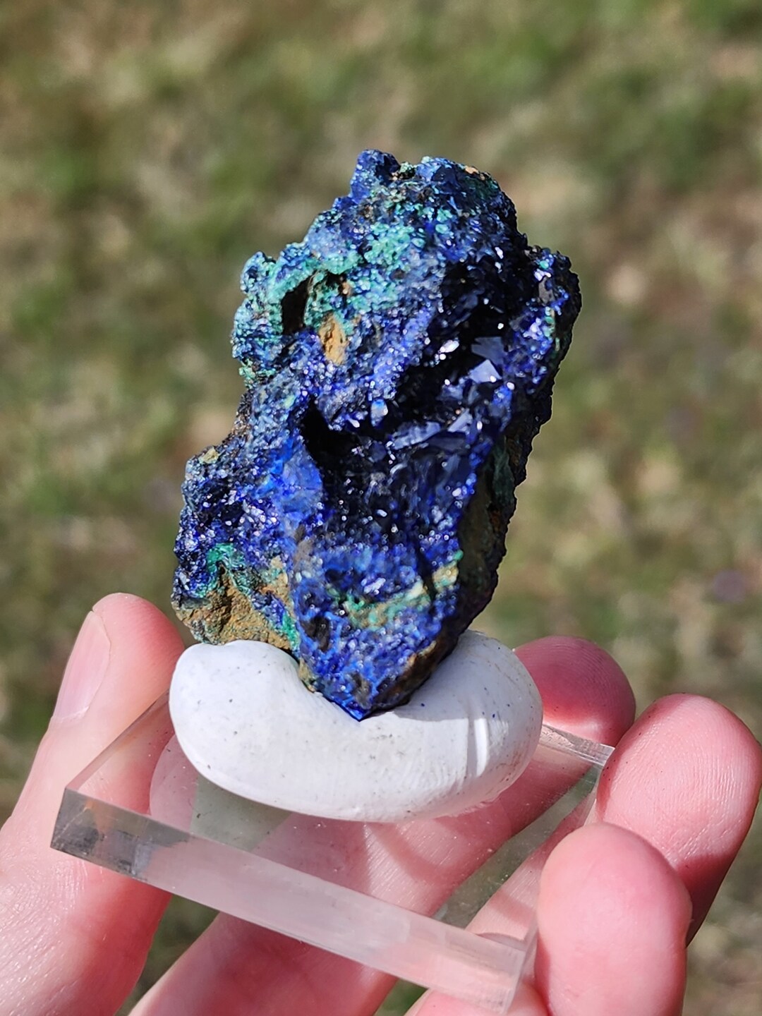 Azurlite Sparkly Azurite Specimen With Display Tray and Museum Putty - Etsy
