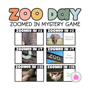 Zoo Day Activities Guess the Picture Game | Zoomed In Mystery Picture | Zoo Animals Digital Game | End of Year Classroom Game
