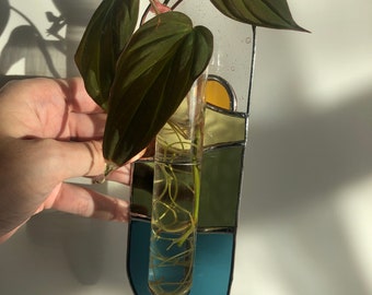 Stained Glass Mountain Plant Propagator