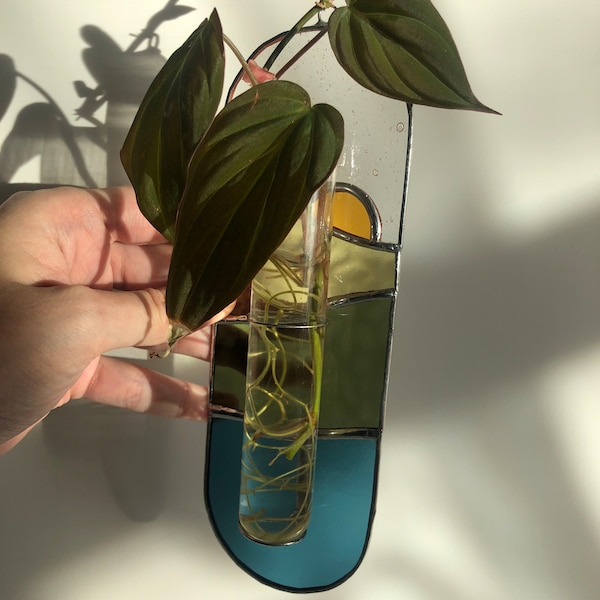 Stained Glass Mountain Plant Propagator