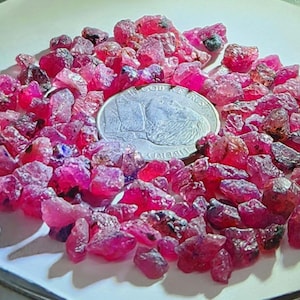 May include: A pile of raw ruby gemstones in shades of pink and red. A silver coin sits amongst the gems, offering a size comparison. The uncut stones are presented on a white surface.