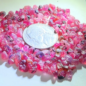 May include: A collection of small, raw, vibrant pink and magenta gemstone fragments scattered around a silver-colored United States nickel coin, which measures approximately 0.835 inches in diameter, providing a clear scale for the rough stones.