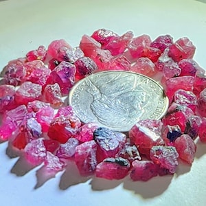 May include: A collection of raw, uncut, ruby gemstones in varying shades of red and pink. A silver coin is placed in the center of the gemstones for size comparison. The gemstones are scattered on a white surface.