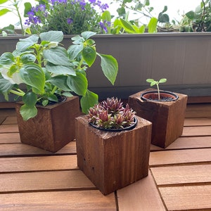 Blumentopf Holz Anzuchtset klein - Schmuckkörbchen
