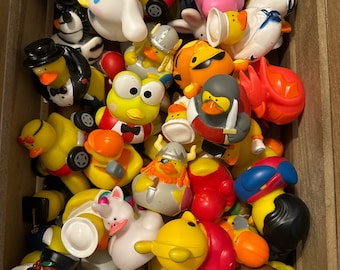 Assorted Rubber Ducks Bulk – Jeep Ducking, Cruise Gifts (Set of 12)