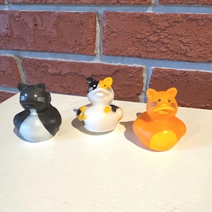 Cat rubber duckies Individual or set of 3