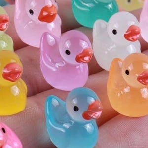 May include: A collection of small, colorful duck figurines in various shades including yellow, pink, blue, and orange. Each duck has a red beak and black eyes. The ducks are made of a translucent material.
