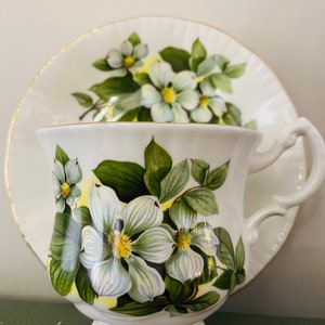 Queen Anne Teetasse und Untertasse, Weiß Grün Blumen Teetassen, Sockel Tasse, Antik Set, Fine Bone China England, Nachmittag High Tea Party