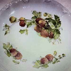 Ancienne assiette à fraises FRANZ ANTON MEHLEM Royal Bonn, Allemagne, porcelaine, 9 po.